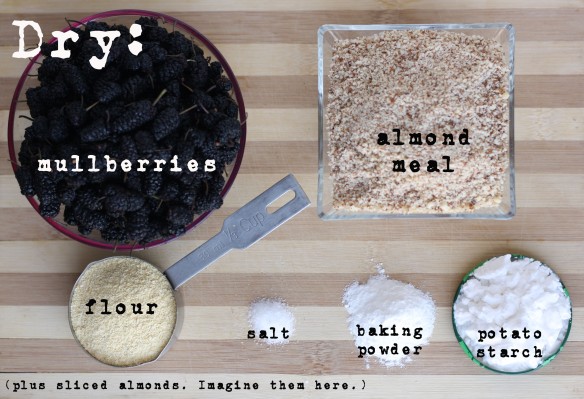 Dry Ingredients - Mulberry-Lemon Summer Cake