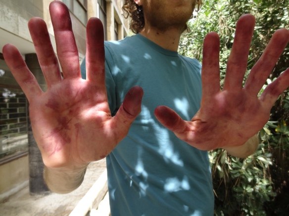 Mulberry Harvest Hands!