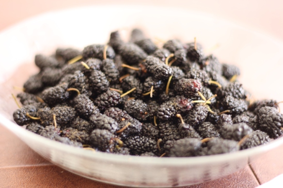 Bowl of Mulberries
